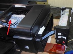 ремонт принтера Epson L800